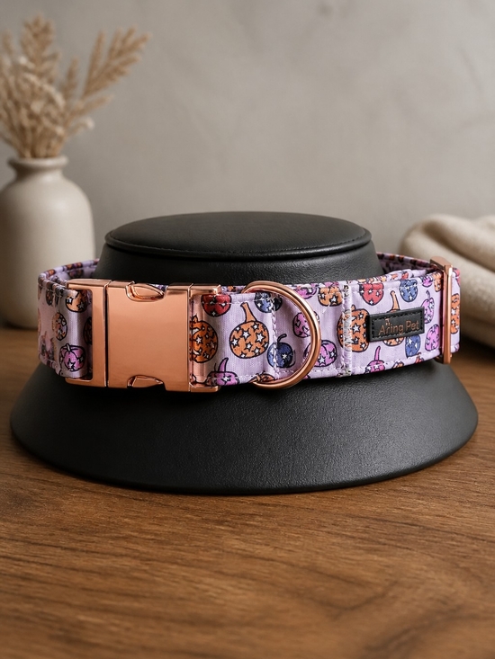 Other - Lavender Pumpkin Print Dog Collar with Rose Gold Hardware